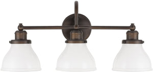 24"W Baxter 3-Light Vanity Burnished Bronze