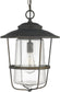 Capital Lighting Creekside 1-Light Outdoor Hanging Lantern Old Bronze 9604OB