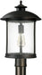 Capital Lighting Dylan 2-Light Outdoor Post Lantern Old Bronze 9565OB
