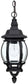 Capital Lighting French County 1-Light Hanging Outdoor Lantern Black 9868BK