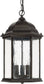 Capital Lighting Main Street 3-Light Hanging Lantern Old Bronze 9836OB