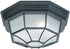 Capital Lighting 2 Lamp Outdoor Ceiling Light Black 9800BK