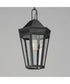 Oxford Outdoor 1-Light Pendant Black