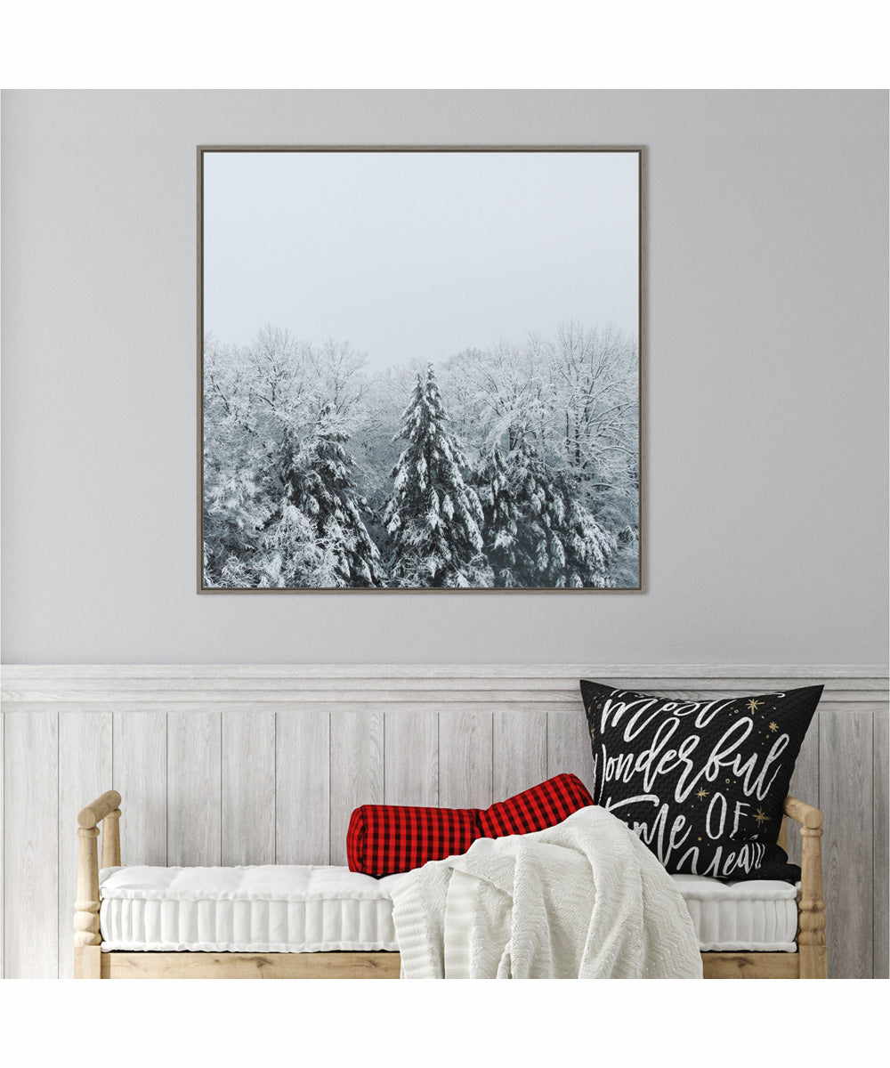 Framed Snowshoe Hill and Trees by Sue Schlabach Canvas Wall Art Print (30  W x 30  H), Sylvie Greywash Frame