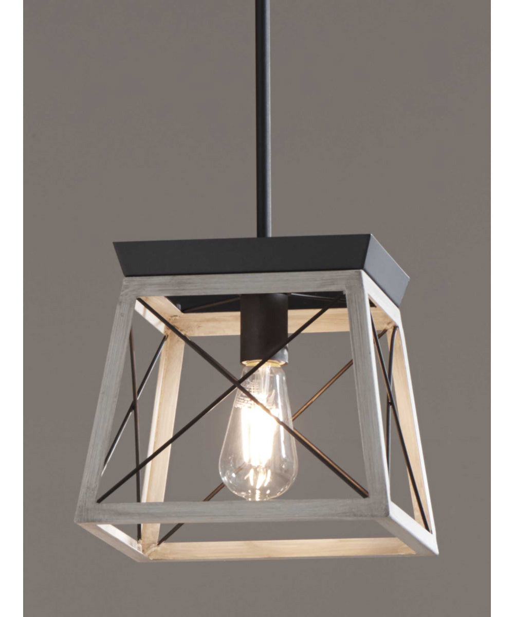 Briarwood 1-Light Coastal Mini-Pendant Light Graphite