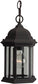 7"W Hex Style 1-Light Outdoor Pendant Rust