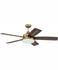 Ceiling Fans and Accessories
