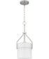 Seymour Small 1-light Mini Pendant Brushed Nickel