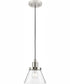 Hinton 1-Light Modern Farmhouse Pendant Brushed Nickel