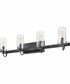 Ryden 4-Light Four Light Vanity in Black