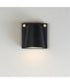 Rivet VX Small LED Outdoor Sconce Black / Antique Brass
