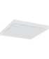 Outskirts  Flush Mount White Lustre