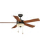 Ceiling Fans and Accessories