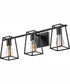 Filmore 3-Light Three Light Vanity in Black