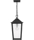 Stoneleigh Large 1-light Outdoor Pendant Light  Coastal Armour Aluminum Mottled Black
