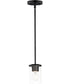 Corona 1-Light Mini Pendant Black