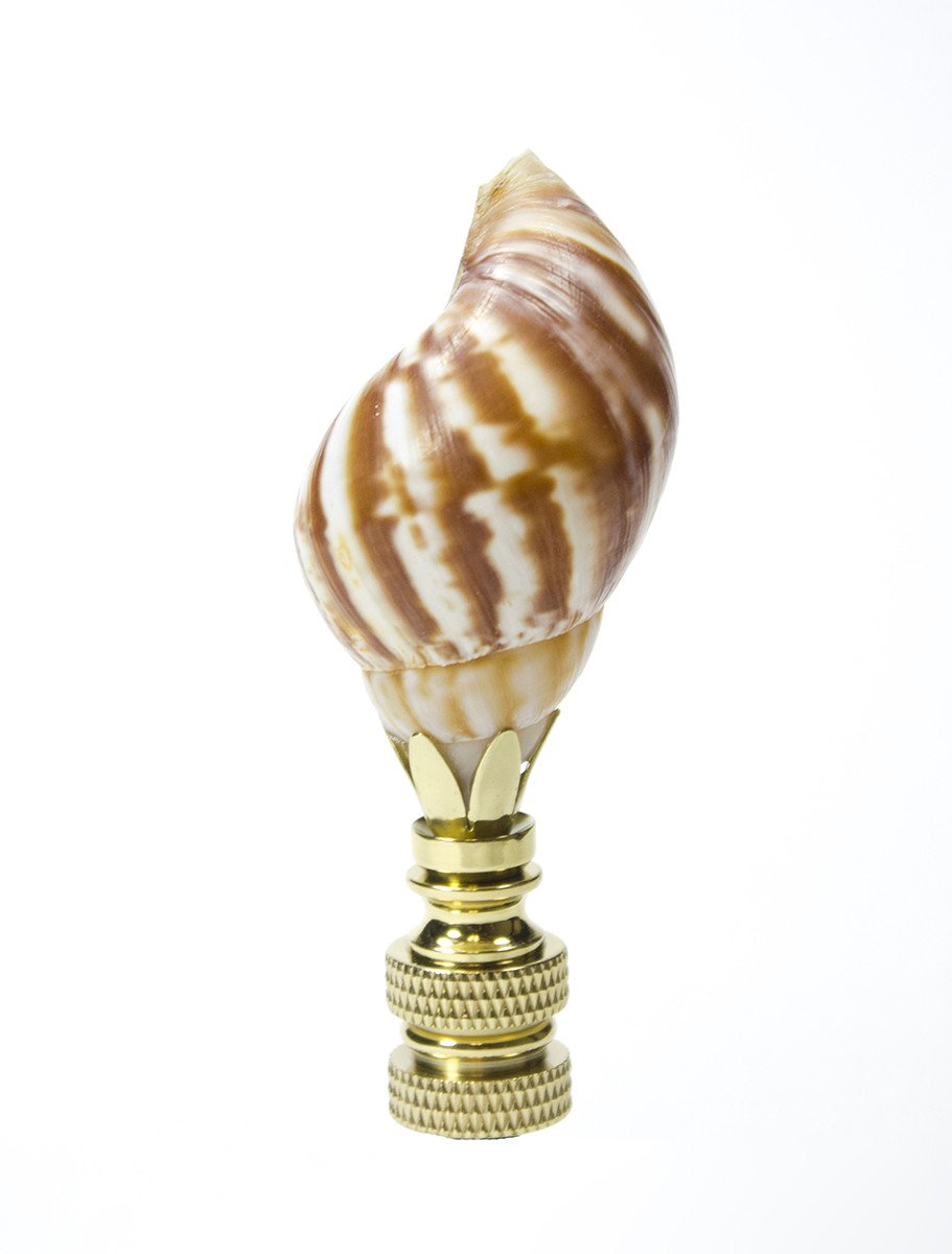 Shells Finials LampsUSA Finials Snail Shell Finial SH11