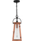 Carolina Large 1-light Outdoor Pendant Light Aged Copper