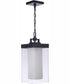Hayner 1-Light Outdoor Pendant Midnight