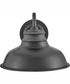 Wallace 1-Light Small Gooseneck Barn Light in Aged Zinc