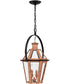 Burdett Medium 2-light Outdoor Pendant Light Aged Copper