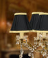 5"W x 5"H Black with Gold Liner Chandelier Clip-On Lampshade