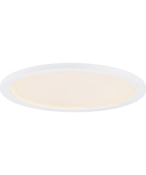 Wafer 22 inch RD LED Surface Mount 3000K White