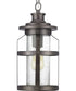 Haslett 1-Light Hanging Lantern Antique Pewter