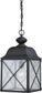 10"W Wingate 1-Light Outdoor Textured Black