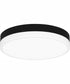 Weldin Small Flush Mount Matte Black White