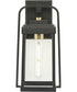 Walcott  1-Light with Brasstone Accents Clear Glass Transitional Outdoor Wall Lantern Light Antique Bronze