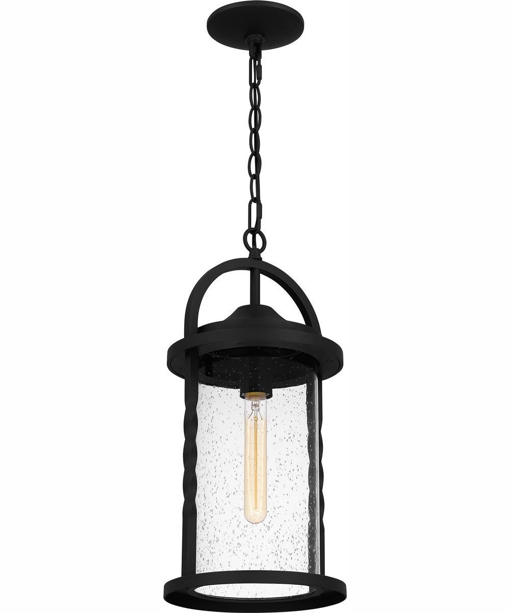 Reece Large 1-light Outdoor Pendant Light  Coastal Armour Aluminum Earth Black