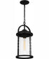 Reece Large 1-light Outdoor Pendant Light  Coastal Armour Aluminum Earth Black
