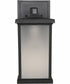 Resilience Lanterns 1-Light Outdoor Wall Lantern Matte Black