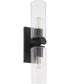 Tamara Day's Mercier 2-light Wall Mount Light Fixture Matte Black