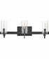 Ryden 3-Light Three Light Vanity in Black