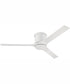 60" Burke 1-Light Ceiling Fan White