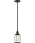 Ludlow Small 1-light Mini Pendant Earth Black