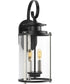 Squire 2-Light Medium Wall Lantern Matte Black
