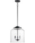 14"W Acadia 3-Light Pendant Black
