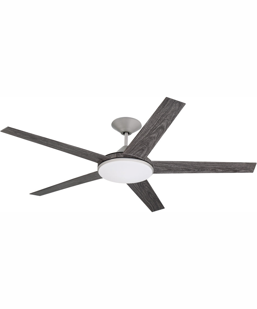 60" Delaney 1-Light Indoor/Outdoor Ceiling Fan Painted Nickel