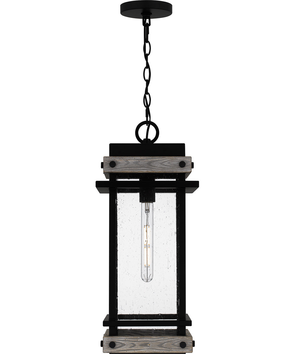 Strader Large 1-light Outdoor Pendant Light Matte Black