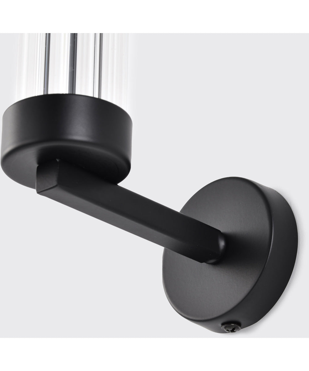 Teagon 1-Light Vanity & Wall Matte Black