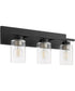 Carter 3-light Bath Vanity Light Matte Black