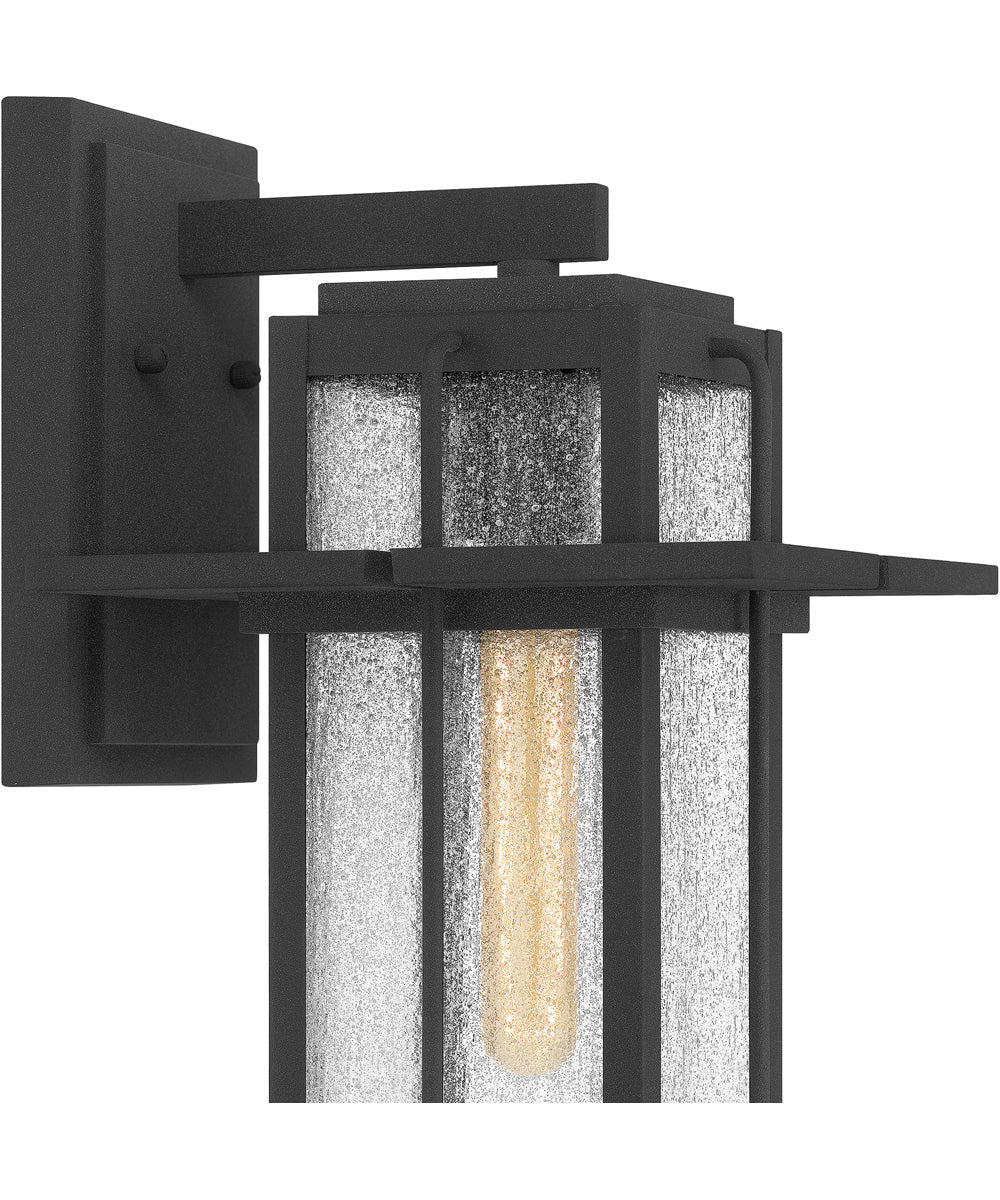 Randall Large 1-light Outdoor Wall Light  Coastal Armour Aluminum Mottled Black