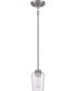 Shayna 1-Light Mini Pendant Brushed Polished Nickel