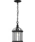 Dillard 1-Light Traditional Clear Glass Outdoor Hanging Light Textured Black