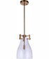 Chardonnay 1-Light Pendant Satin Brass