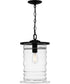 Noland Large 1-light Outdoor Pendant Light  Coastal Armour Aluminum Matte Black