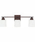 Hayden 3-Light Vanity Bronze